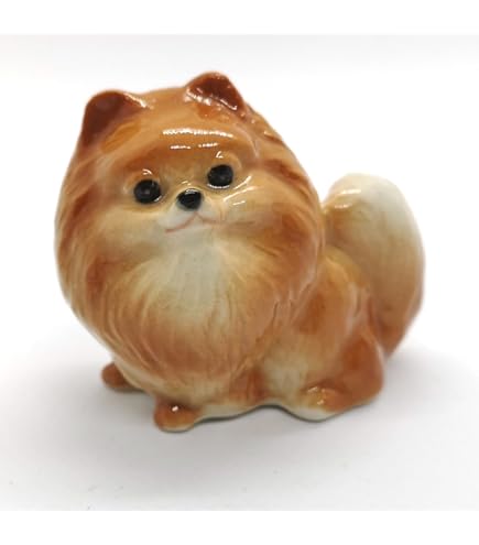 Amazon.com: Sandicast Orange Pomeranian Sculpture, Crouching